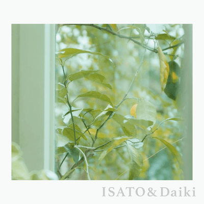 Haru / かぼちゃタルトのジャケット写真