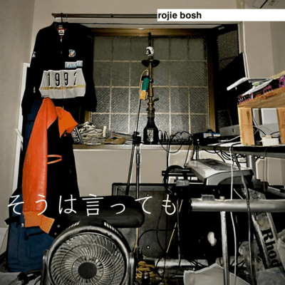 そうは言っても (オリジナル&カバー)のジャケット写真