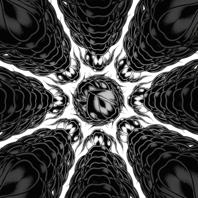 蕾のジャケット写真