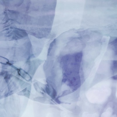 femme fatale Front Cover