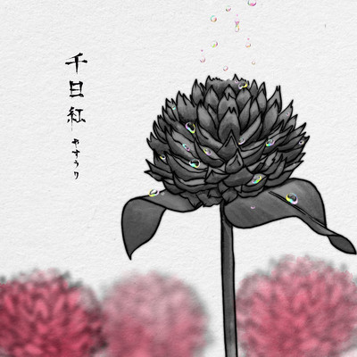 Globe amaranth Front Cover