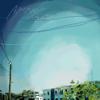 Animare Front Cover