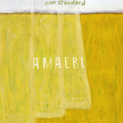 non standard Front Cover