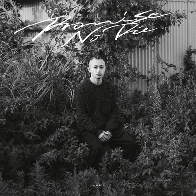 Promise No Die Front Cover