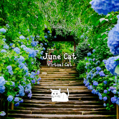 June Cat Front Cover