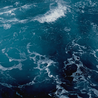 Endorphins Front Cover