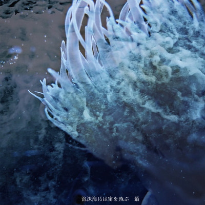 泡沫海月は宙を飛ぶのジャケット写真