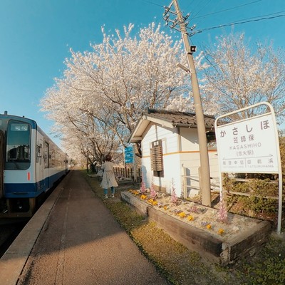 恋火-Kasashiho-のジャケット写真