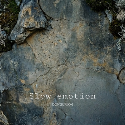 slow emotionのジャケット写真