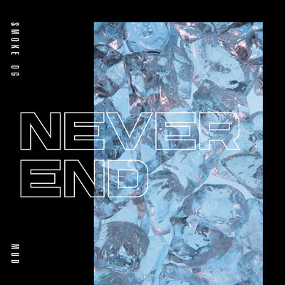 NEVER END (feat. MUD) Front Cover