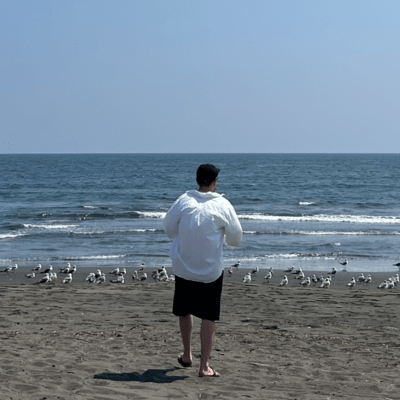 moneylights Front Cover