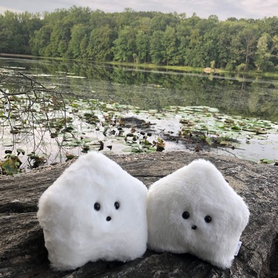 Sucklet's Song Front Cover