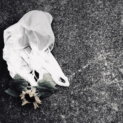 Fall in luvのジャケット写真