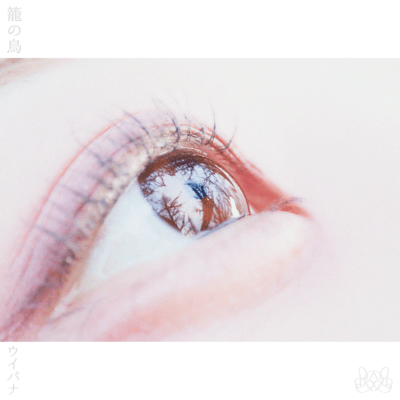 籠の鳥のジャケット写真