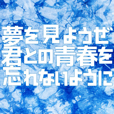 We'll have a Dream together to never forget Youth With You. Front Cover