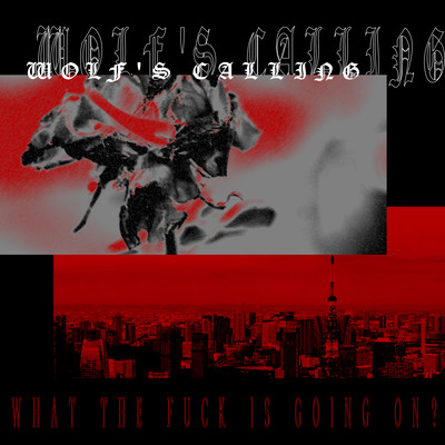 wolf's calling -what the fuck is going on?- Front Cover