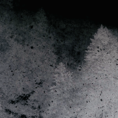 insideのジャケット写真