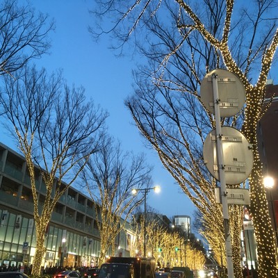 Go homeのジャケット写真