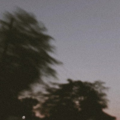 can we kill the night owl inside of us so we can settle down and rest in peace Front Cover