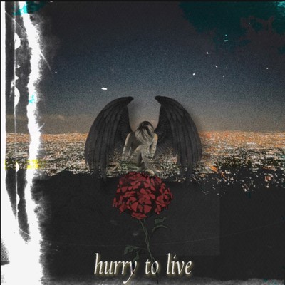 hurry to live Front Cover