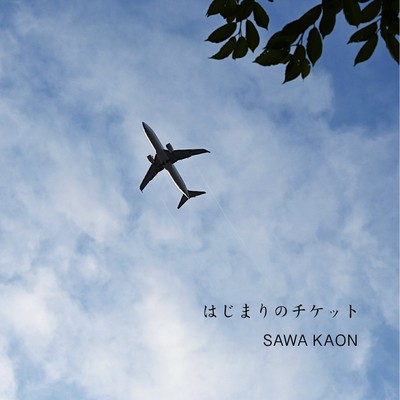 Ticket of Beginning Front Cover