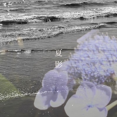夏影のジャケット写真