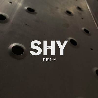 月明かりのジャケット写真