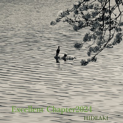 Excellent Chapter2024 Front Cover