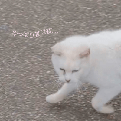 夏は夜のジャケット写真
