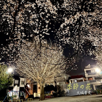季節の花のジャケット写真