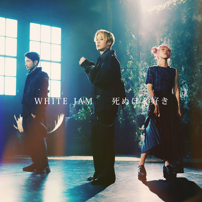 Shinuhodo suki Front Cover