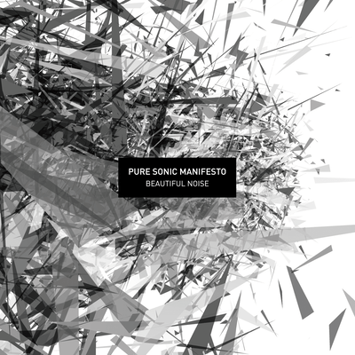 BEAUTIFUL NOISE Front Cover