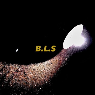 B.L.S Front Cover