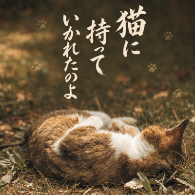 The Cat Took It Away (feat. KAMEZO) Front Cover