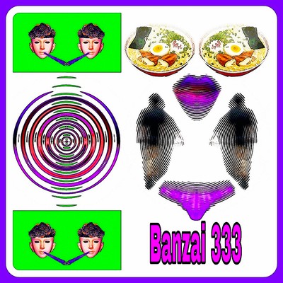 Banzai 333 Front Cover