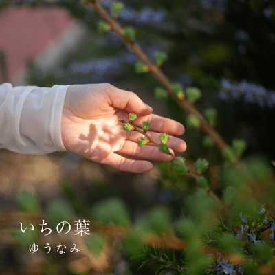 いちの葉のジャケット写真