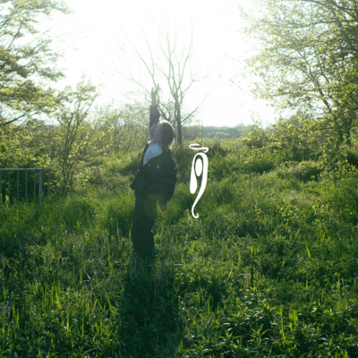 A day of summer Front Cover