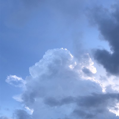 no pain, no gainのジャケット写真