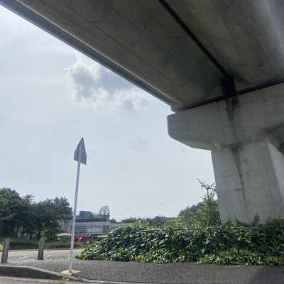 earlyaccessのジャケット写真