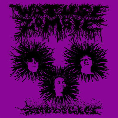 WELCOME TO THE JUNGLE Front Cover