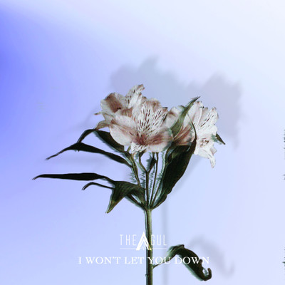 I won't let you down (Kenichi Kishimoto ver.) Front Cover