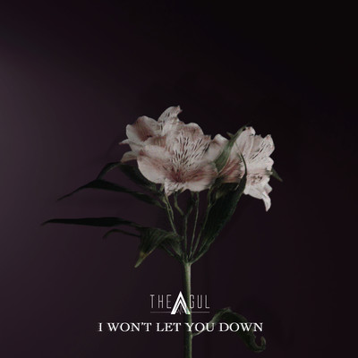 I won't let you down Front Cover
