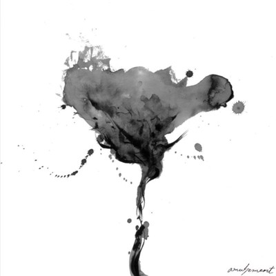 amusement. Front Cover