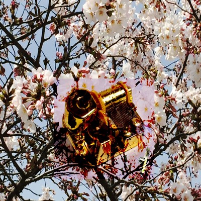 あの日の卒業式のジャケット写真