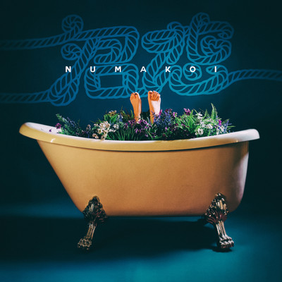 沼恋のジャケット写真