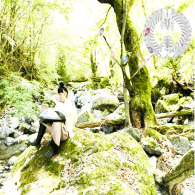 To the roots Front Cover