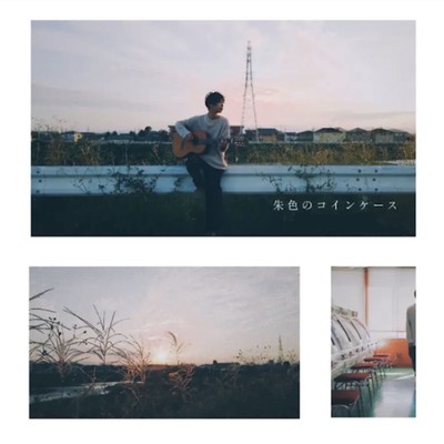 Syuironokoinke-su Front Cover