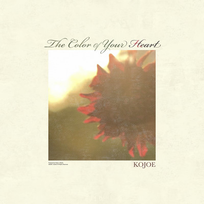 The Color of Your Heart Front Cover