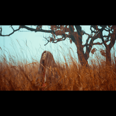 KAMOSHIKAのジャケット写真