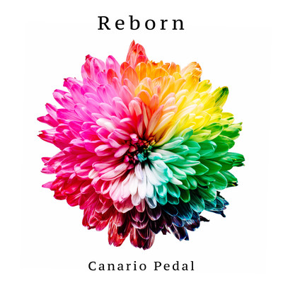 Reborn Front Cover